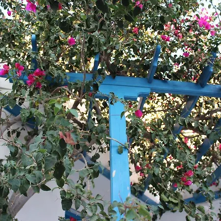 Semprou Guest house